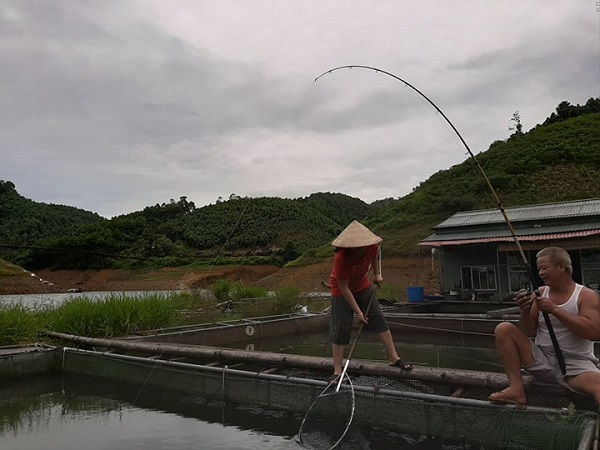 LẠ: Nuôi cá khủng trong lồng ở đập Hồ Ly, ngửi cá sống mà ít tanh?