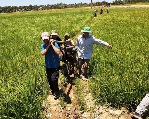 Bình Định “quay cuồng” vì hạn hán: Người khát, ruộng đồng nứt toác