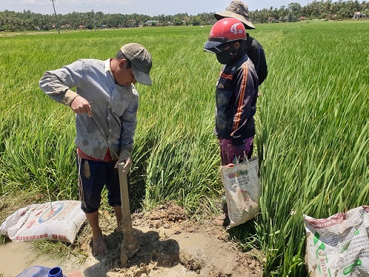 Bình Định “quay cuồng” vì hạn hán: Người khát, ruộng đồng nứt toác