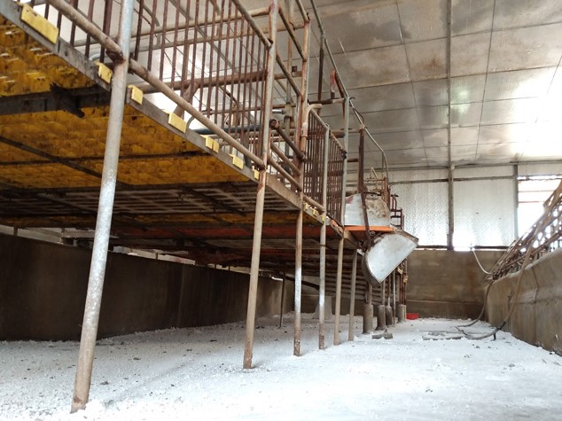 Liên tục mất tiền tỷ vì lợn, nông dân vẫn mong tái đàn từng ngày