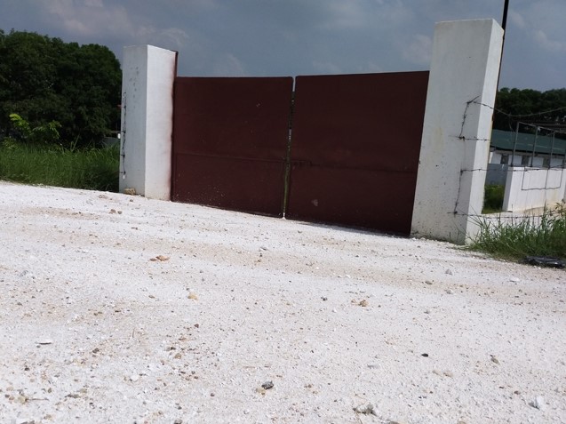 Liên tục mất tiền tỷ vì lợn, nông dân vẫn mong tái đàn từng ngày