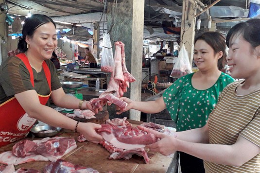 Giá lợn hơi miền Bắc duy trì mức cao: "Liều” tái đàn giữa vùng dịch