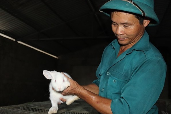 Lai Châu: Nuôi giống thỏ mắn đẻ, vừa khỏe người lại có tiền tiêu