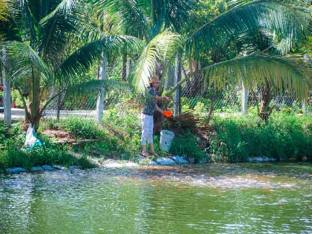 Đà Nẵng: Muốn giàu nuôi cá, muốn khá dân ở đây cũng nuôi cá