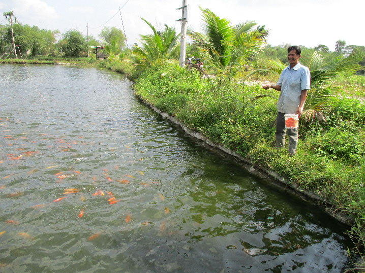 Đà Nẵng: Muốn giàu nuôi cá, muốn khá dân ở đây cũng nuôi cá
