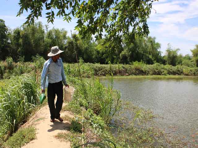 Đà Nẵng: Muốn giàu nuôi cá, muốn khá dân ở đây cũng nuôi cá