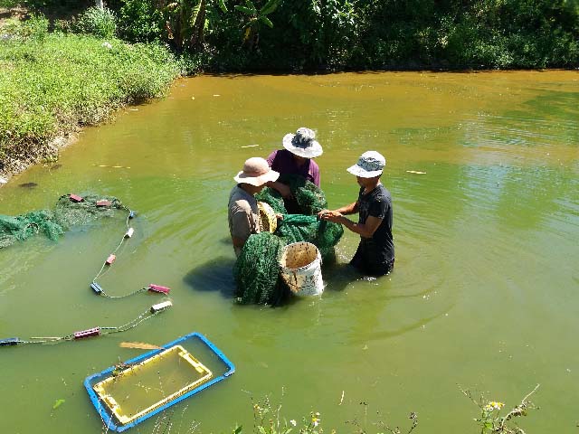 Đà Nẵng: Muốn giàu nuôi cá, muốn khá dân ở đây cũng nuôi cá