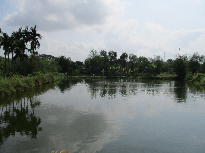 Đà Nẵng: Muốn giàu nuôi cá, muốn khá dân ở đây cũng nuôi cá