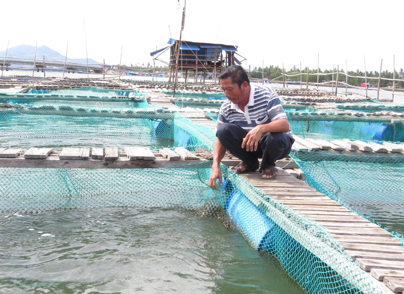 Tỷ phú tôm cá, nuôi tận gốc bán tận ngọn bên đầm Cù Mông